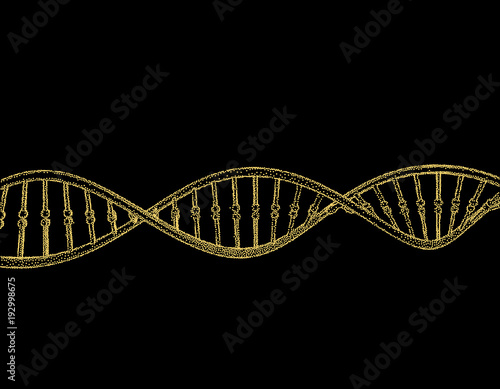 DNA strand. Isolated on bla...