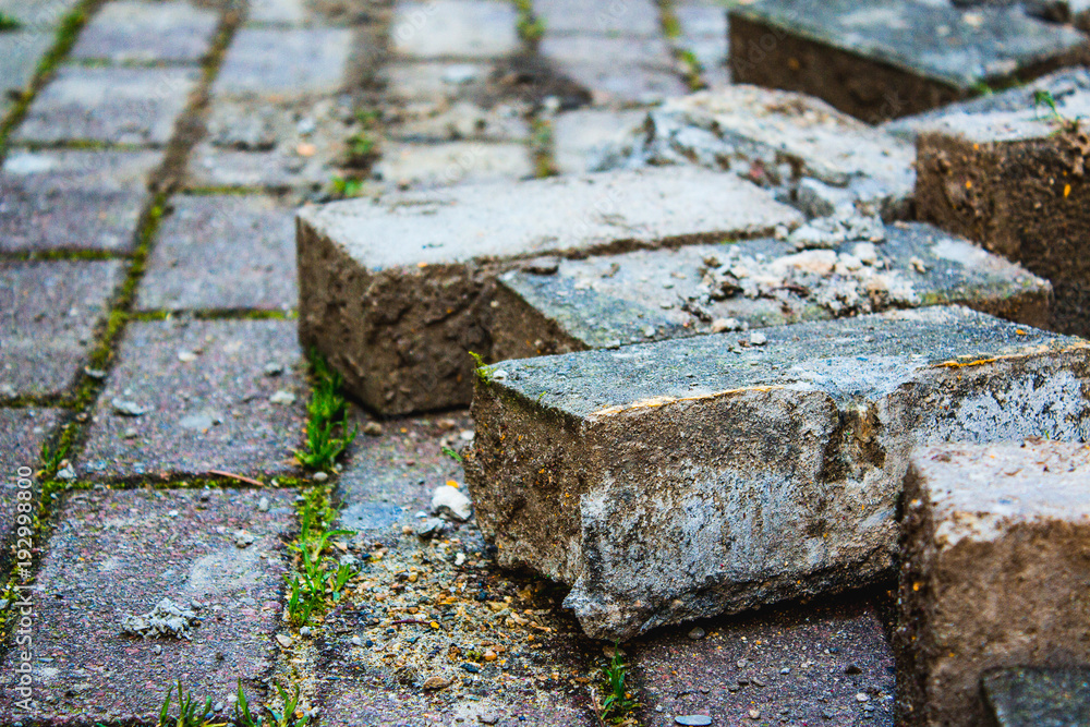 Paving stone for repair sidewalk in a park. Paving stone for repair sidewalk in a park.