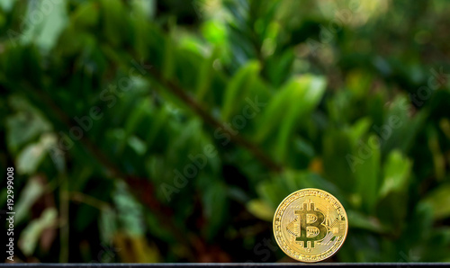 Bitcoin on wooden table and nature background.Bitcoin as most important cryptocurrenc