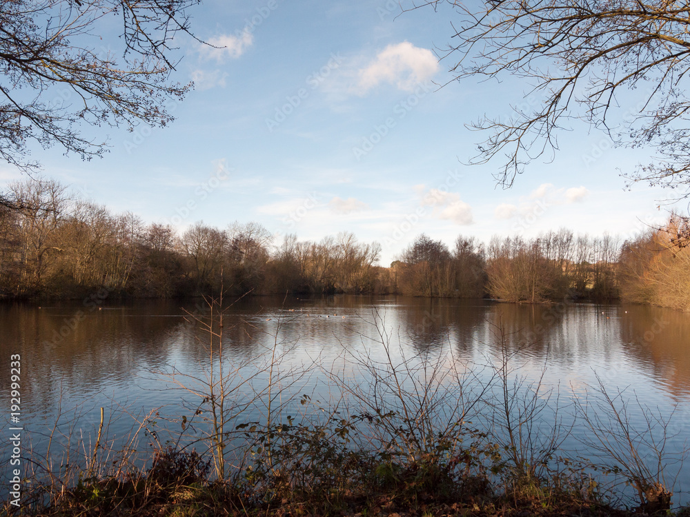 Fototapeta premium beautiful springtime lake scene outside nature reserve dedham