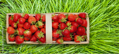 Erbbeeren im Körbchen