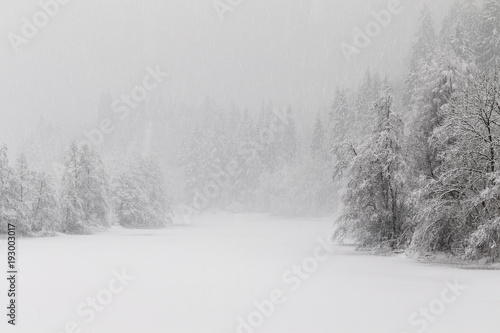 winter at the frozen lake in the forest, the snowstorm makes the forest almost unvisible © Lillian