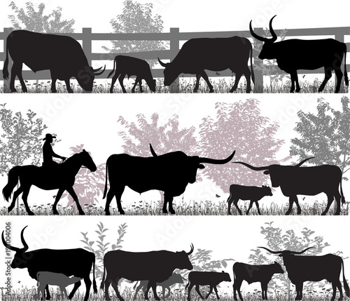 Silhouettes of cattle breed of texas longhorn