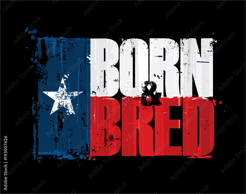 Fototapeta premium Texan Flag - Born n Bred