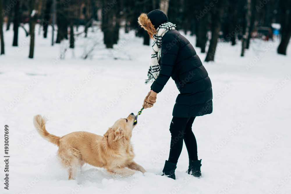 Picture of woman playing with labrador in winter park