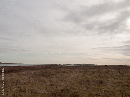 open sea coast plain with grass in front horizon overcast clear calm