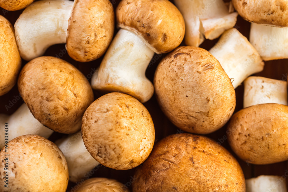 champignons mushrooms closeup champignons mushrooms closeup