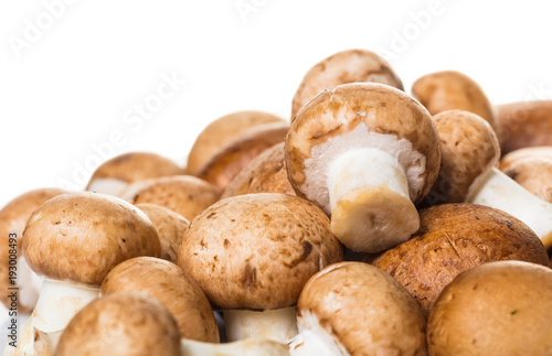 raw mushrooms champignons