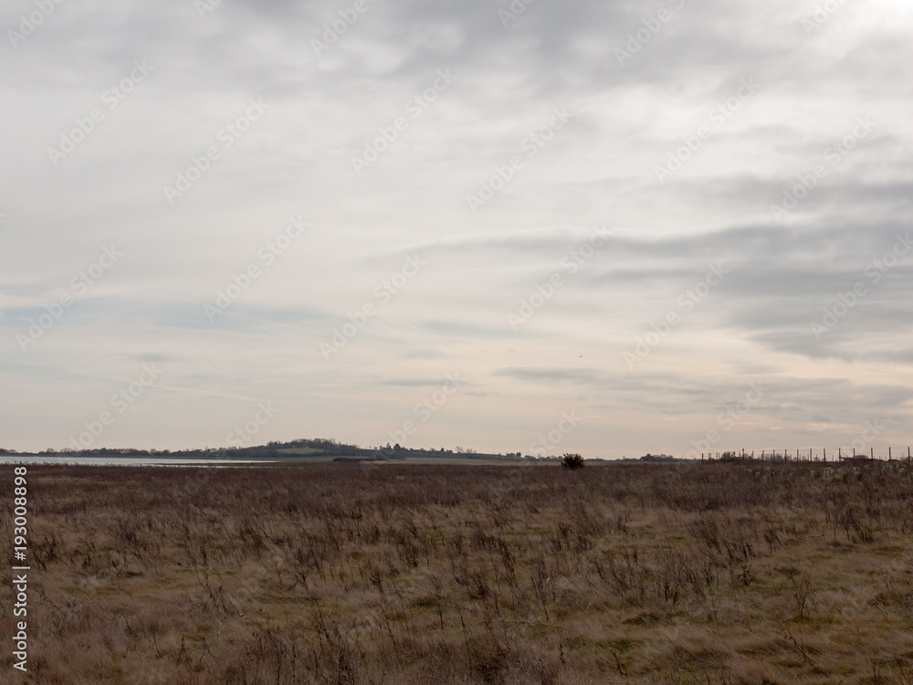 open sea coast plain with grass in front horizon overcast clear calm open sea coast plain with grass in front horizon overcast clear calm