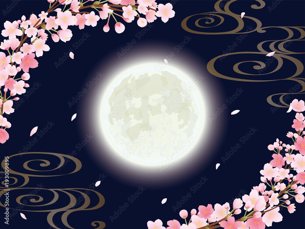 Fototapeta premium 夜桜