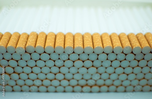 Multiple white cigarettes  tubes  with yellow filters in a row. Isolated