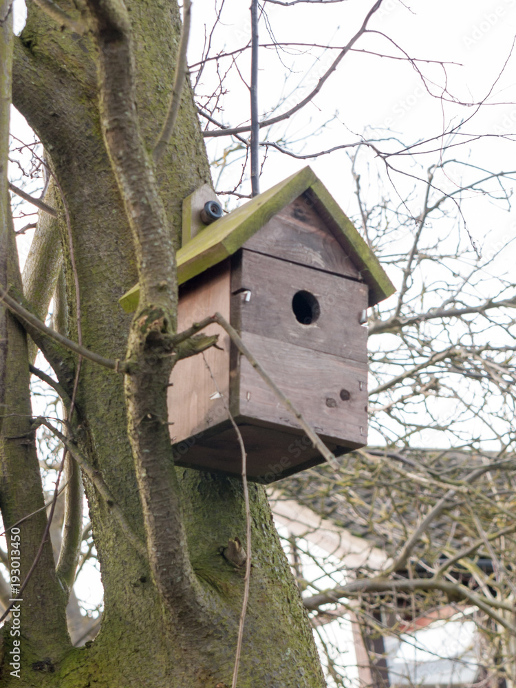close up of bird nest wooden outside nailed to tree close up of bird nest wooden outside nailed to tree