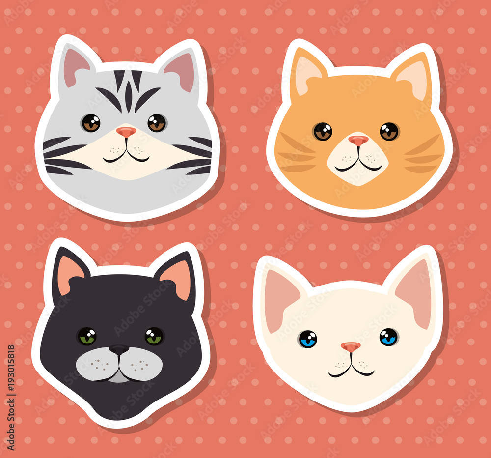 cute cats pets friendly vector illustration design