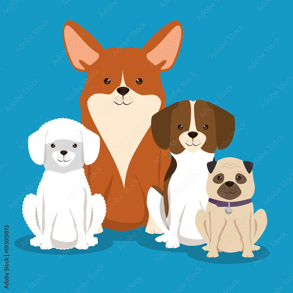 group of dogs breds pets friendly vector illustration design