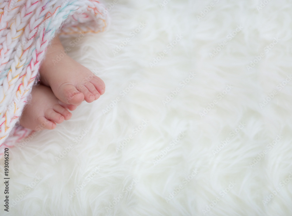 baby feet in blanket, copy space. selected focus baby feet in blanket, copy space. selected focus
