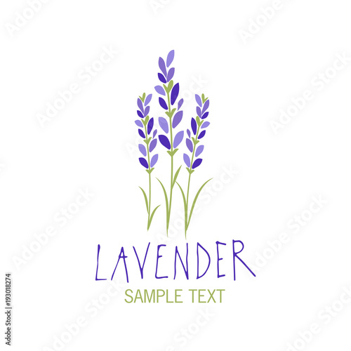 Fototapeta Naklejka Na Ścianę i Meble -  Lavender flower. Logo design. Text hand drawn.