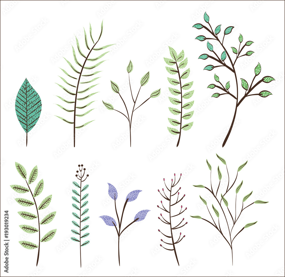 Obraz premium leafs plant set vintage icons vector illustration design