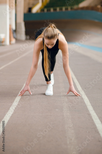 Fototapeta Naklejka Na Ścianę i Meble -  Workout, sport. Woman in the gym
