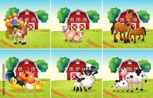 Six scenes with animals on the farm