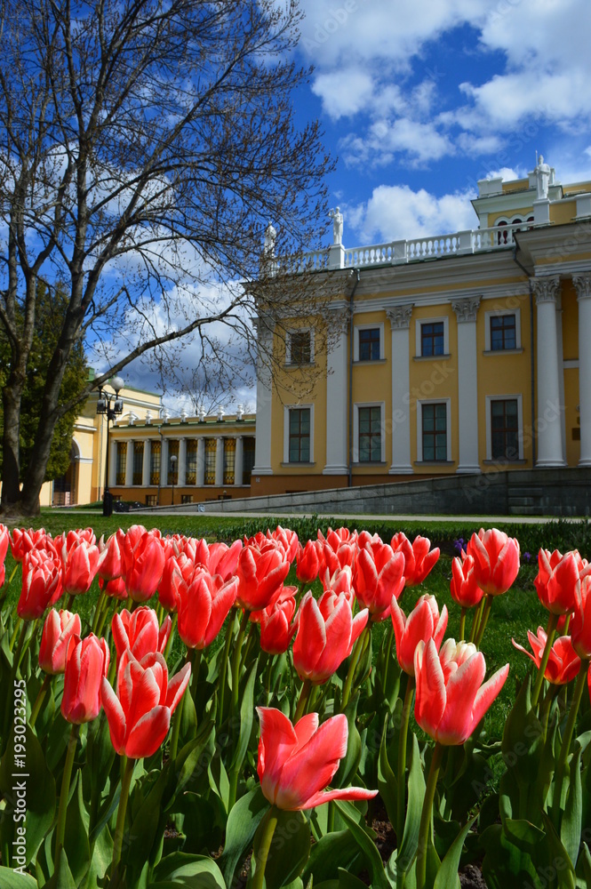 spring in the Park