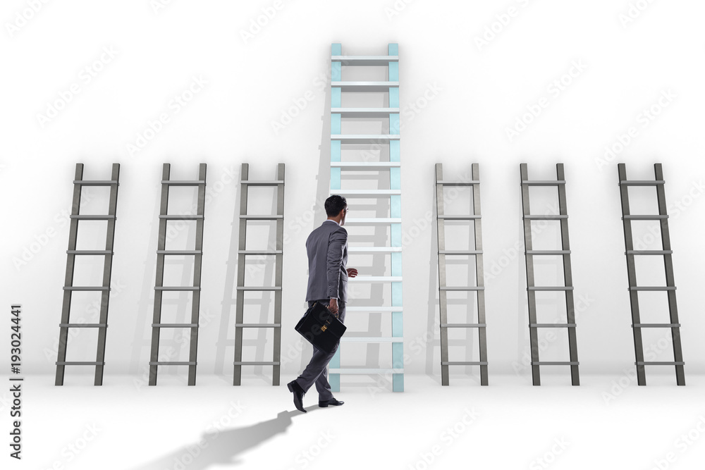 Career progression concept with various ladders
