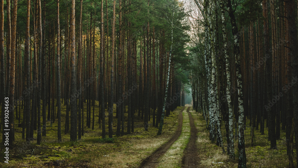 Obraz premium Brandenburg