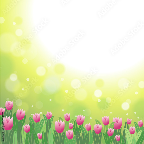 Spring Flowers Tulips Square Background Vector Illustration 1 © kayteedesign