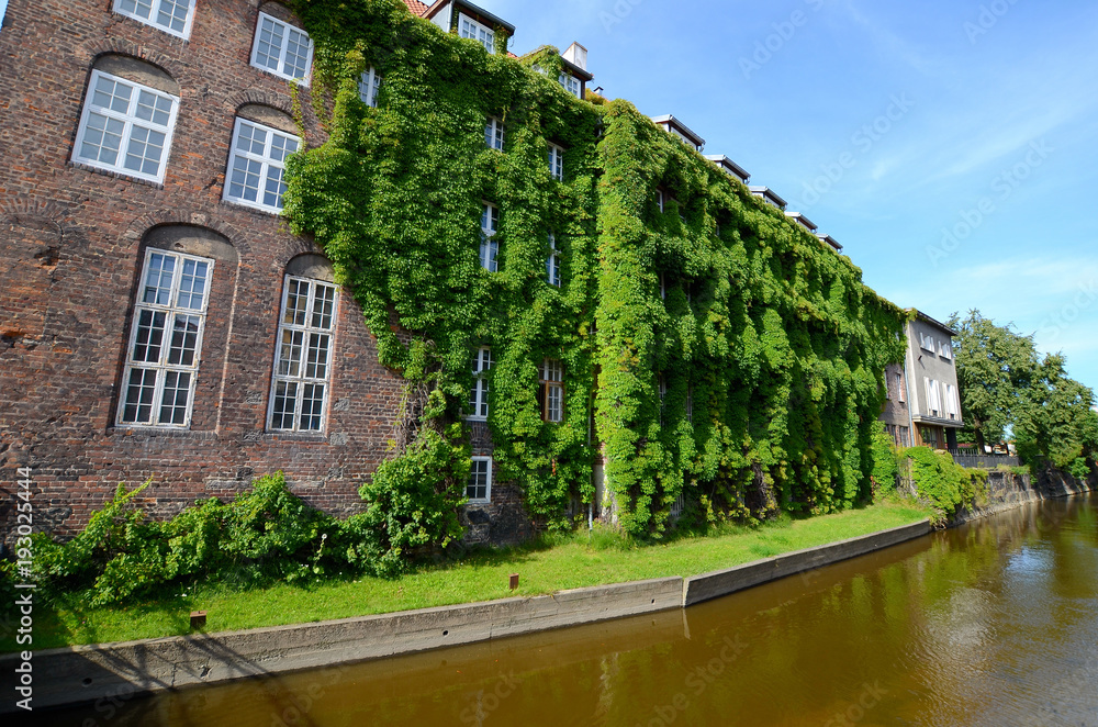 Old house with ivy over the canal (Gdańsk in Poland)