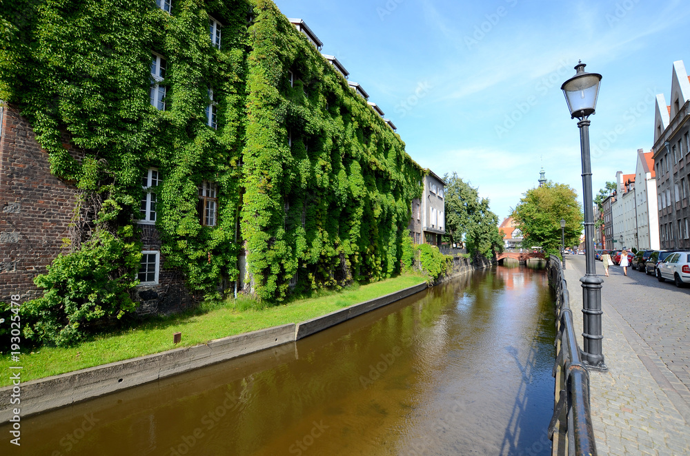 Old house with ivy over the canal (Gdańsk in Poland)