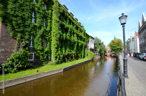 Obraz na płótnie Old house with ivy over the canal (Gdańsk in Poland) w salonie