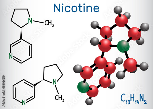 Nicotine molecule, is alkaloid , found in the nightshade family of plants. Structural chemical formula and molecule model