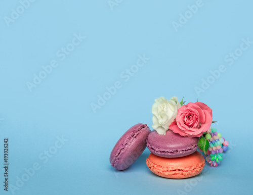 macaroons on pastel blue color background