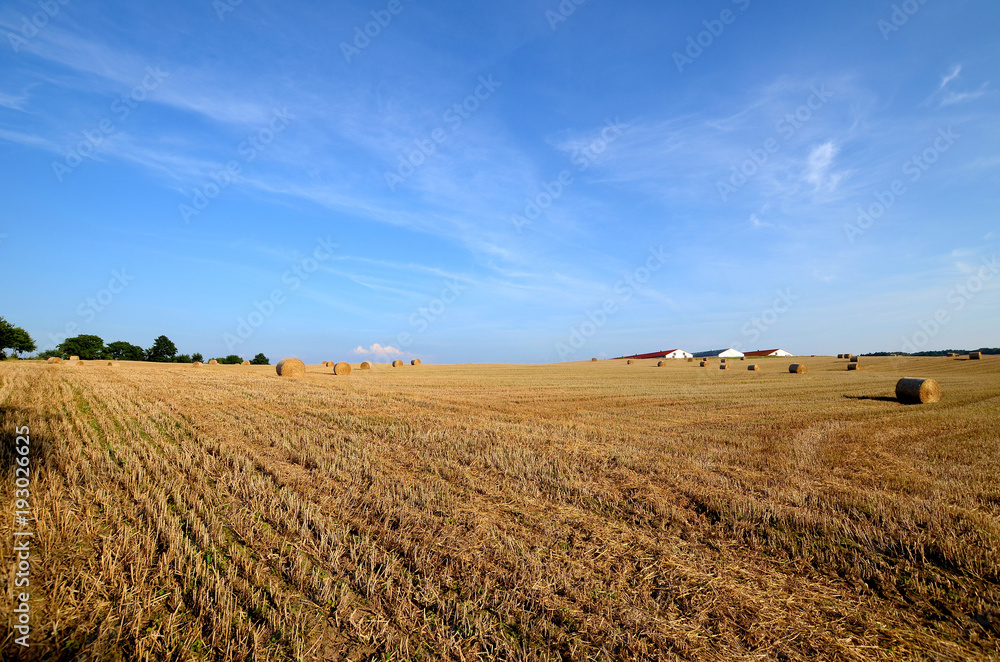 A field with straw bales