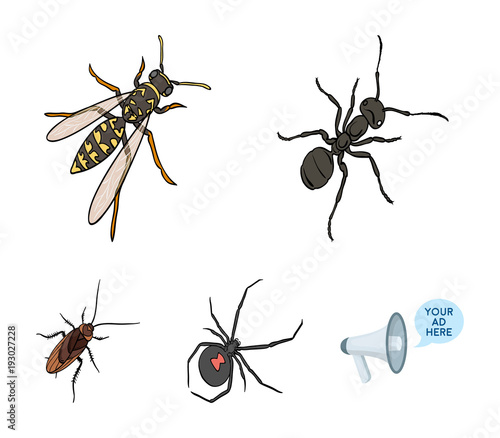 An insect arthropod, an osa, a spider, a cockroach. Insects set collection icons in cartoon style vector symbol stock isometric illustration web.