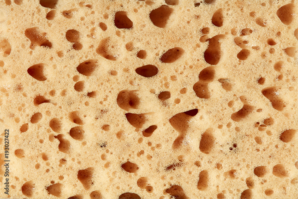 Sponge, porous material. Texture background Sponge, porous material. Texture background