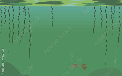 Green and turquoise water lake with fish and plant roots background.
