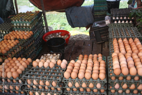 Egg shop in local market for sale eggs to customers. Poultry farming is a popular source of income. Chicken raised for eggs are called layers. Many people are involved in egg business