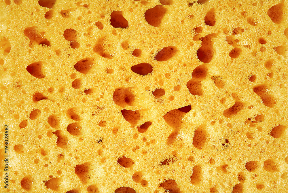 Sponge, porous material. Texture background Sponge, porous material. Texture background