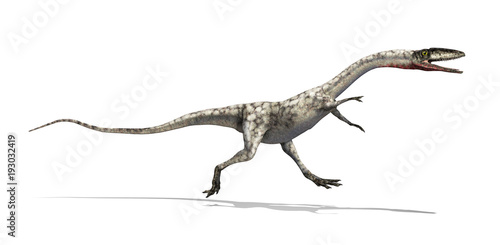 Coelophysis Dinosaur photo