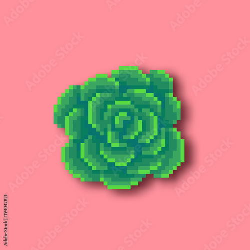 Pixel art cactus.
