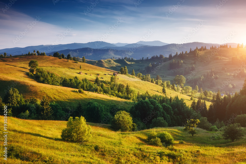 Great view of the alpine valley. Location place Carpathian, Ukraine, Europe.