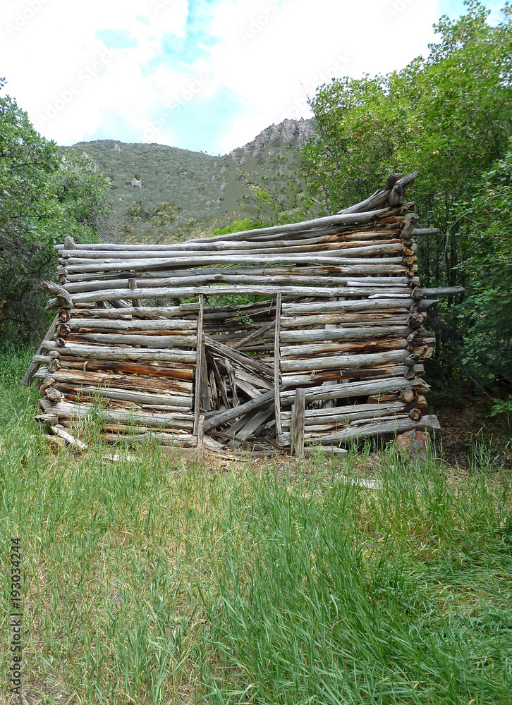 Abandoned log cabin in the wilderness