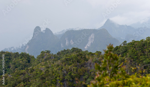 Tropical mountains view