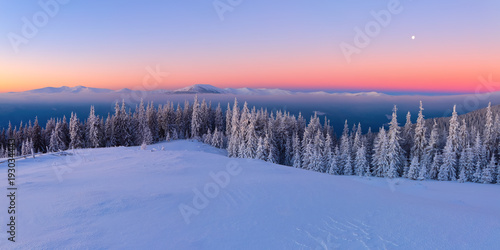 From the lawn, covered with snow, a panoramic view of the covered with frost trees, fog, tall, steep mountains, an interesting sunrise with a pink sky. Good winter day.