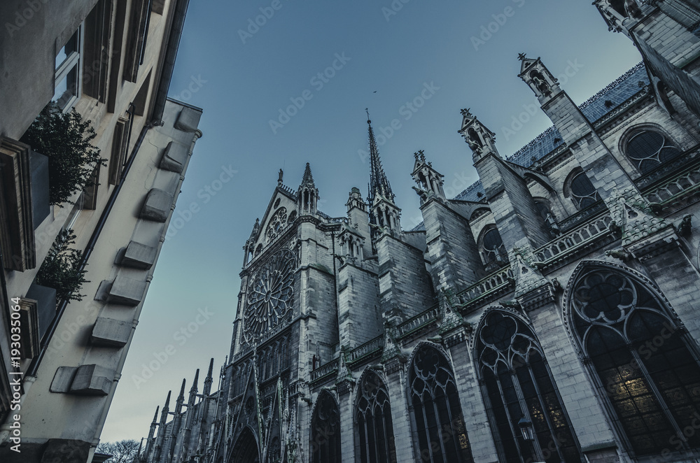 Naklejka premium Notre dame de paris