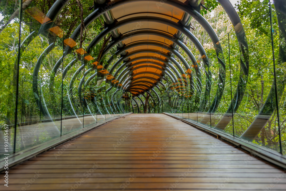 Naklejka premium Wiszący most ze szkła, drewna i metalu w lesie wokół Johannesburga w RPA -2
