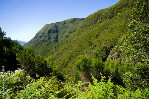 Landscape with hills and forest, Madeira, Portugal
