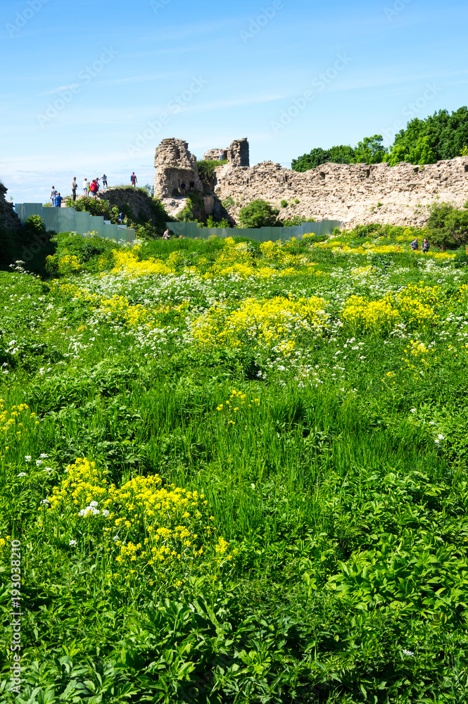 Ruins of Koporye fortress