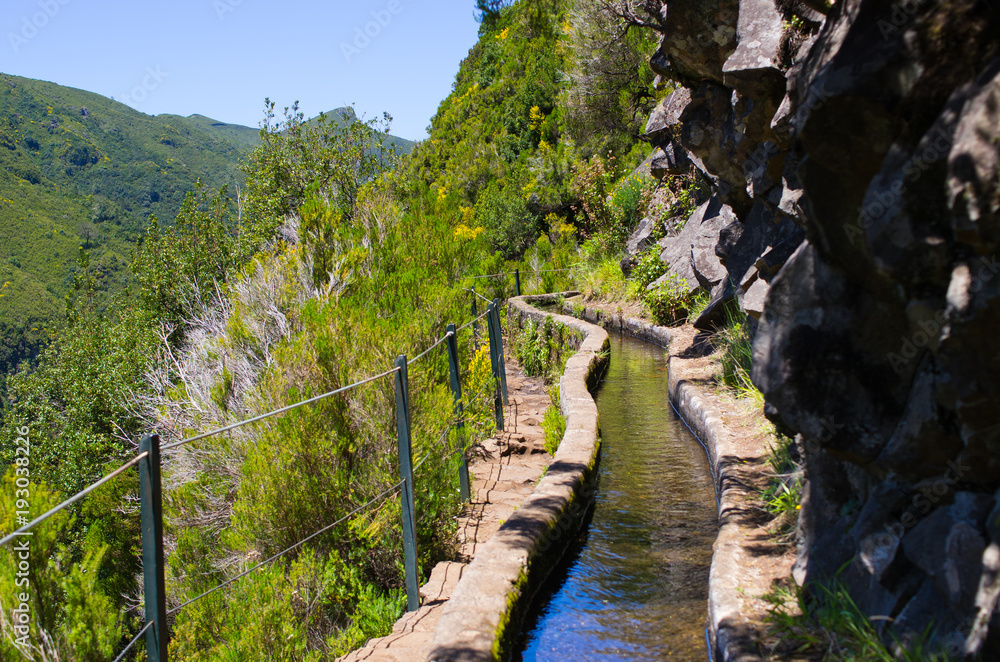 Naklejka premium 25 Fontes levada on Madeira island, Portugal