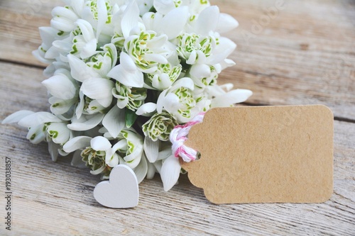 Grußkarte - Schneeglöckchen